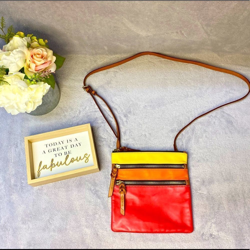 Dooney & Bourke North South Triple Zip leather ombré crossbody bag